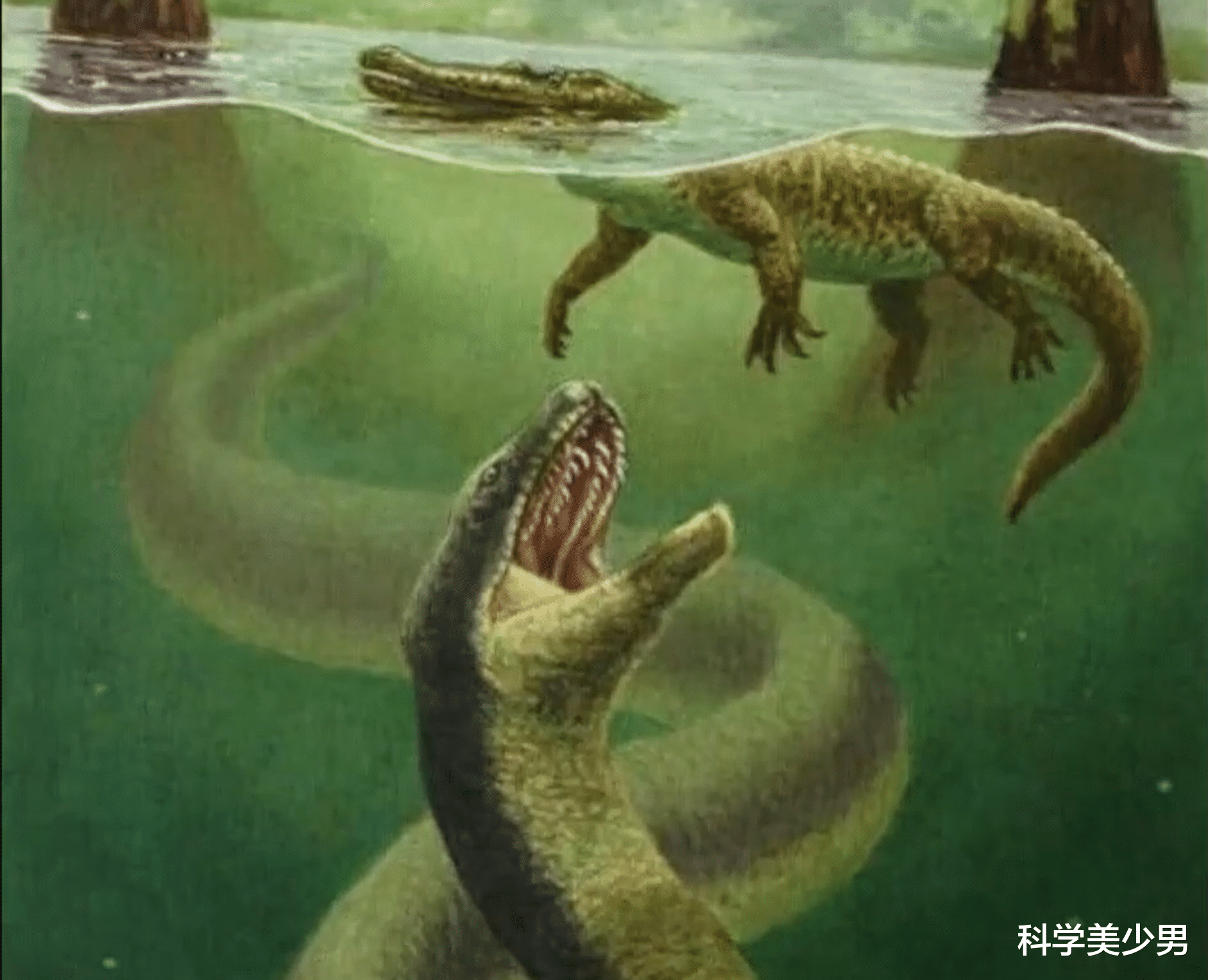5500万年前，地球发了一次“高烧”，孕育了世界上最大的蛇