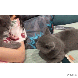 时尚炫点 这样的睡姿我还是第一次见，旁边的乘客头已经无处安放了，好尴尬！！！