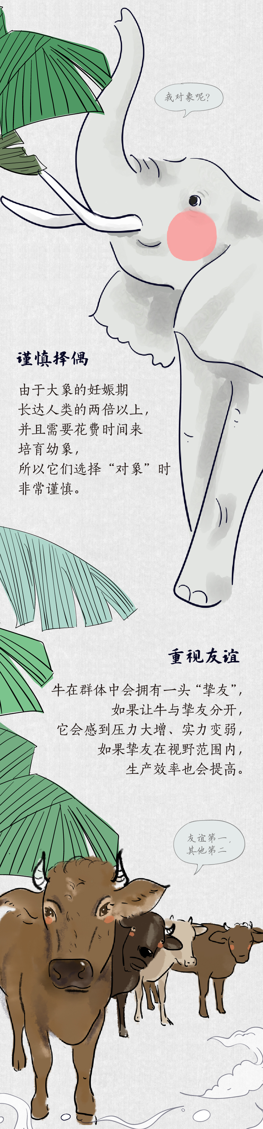 考古学家 世界动物日 在养生这件事上，动物也不赖！