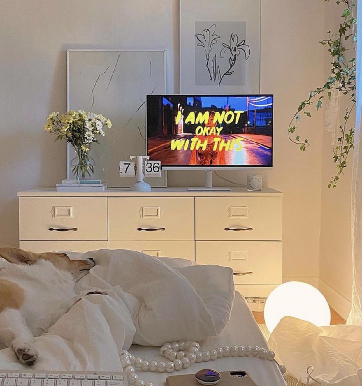 一人独居,有犬相伴,小窝虽然不大,她却过出了诗和远方,羡慕!