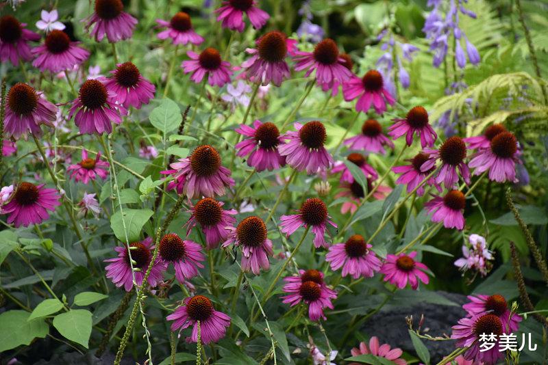 梦美儿|不要因为出轨,把自己活成孩子的罪人