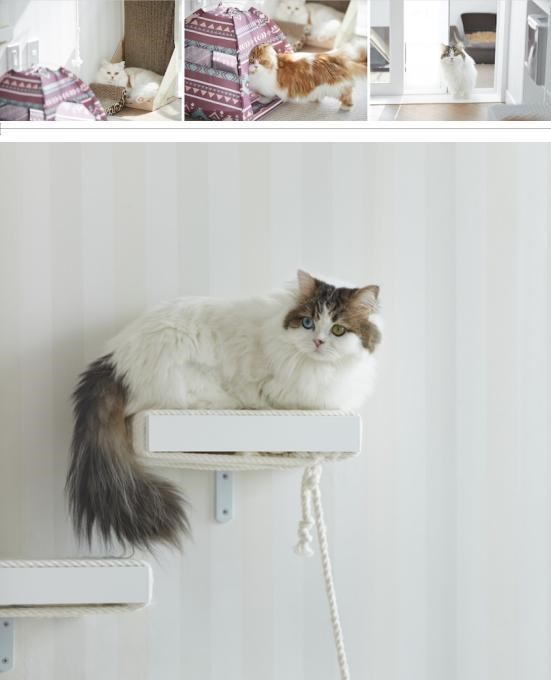 176㎡有对双胞胎女儿+3只小猫,住大平层宽敞整洁,生活也很轻松