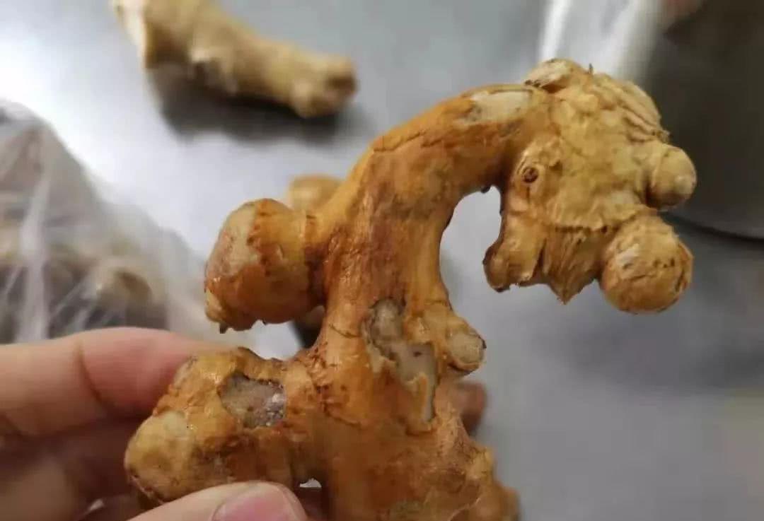 米饭|米饭或是脂肪肝的“发物”？内科医生：要想养好肝，3物请少吃