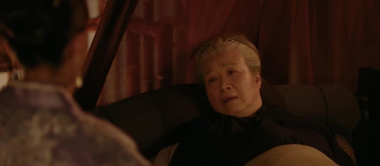 王大娘子|知否：康姨母给老太太下毒不是因为明兰，她早就想掌控盛家了