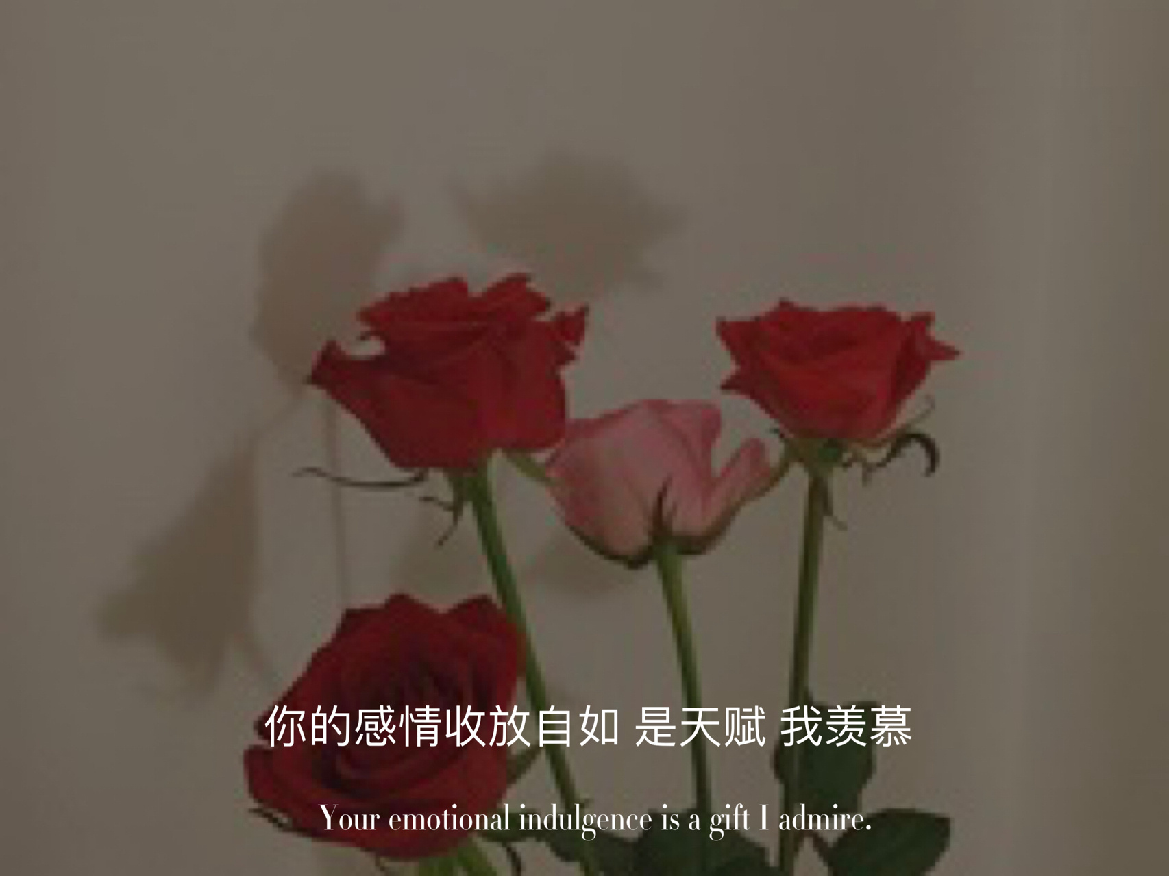 墨陌文案馆|文案| 你看电影结束都有序幕  我们就没有