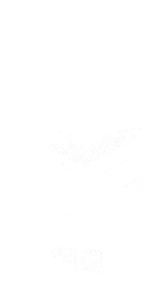 长江日报 为什么是大武汉？