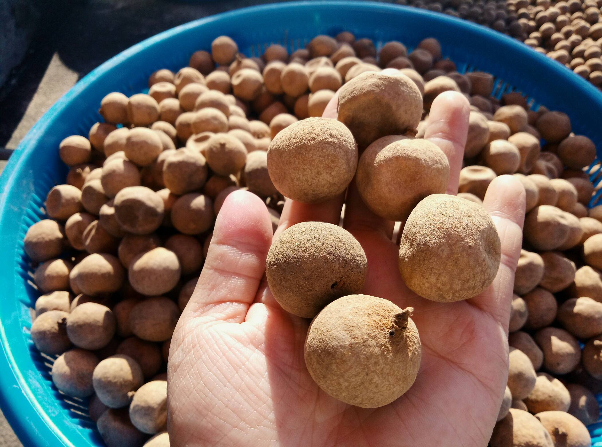 补肾|这4种养肾黄金食材，男人可多吃，补肾壮腰作用比枸杞强得多