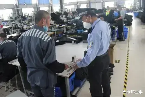 求职|服刑人员回来后怎么生存？