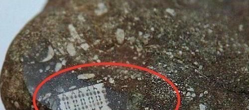 科学家 渔民发现特殊芯片,科学家鉴定距今2.5亿年,史前文明出现了?