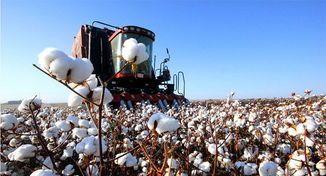 果莓妈咪说 国货太给国人争气！中国品牌市值破3000亿，超越阿迪成世界第二