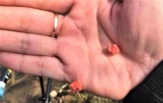 立冬|别再说立冬后不适合夜钓!主要方法要做对