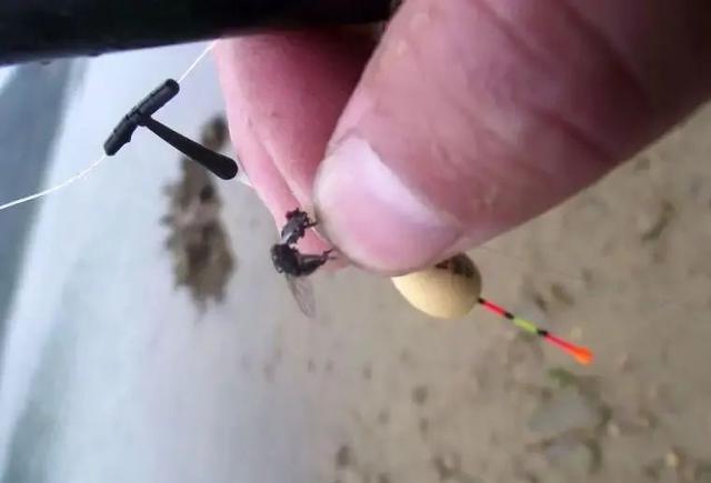 饵料|盘点6种“重口味”饵料，看起来恶心但鱼儿却十分喜爱