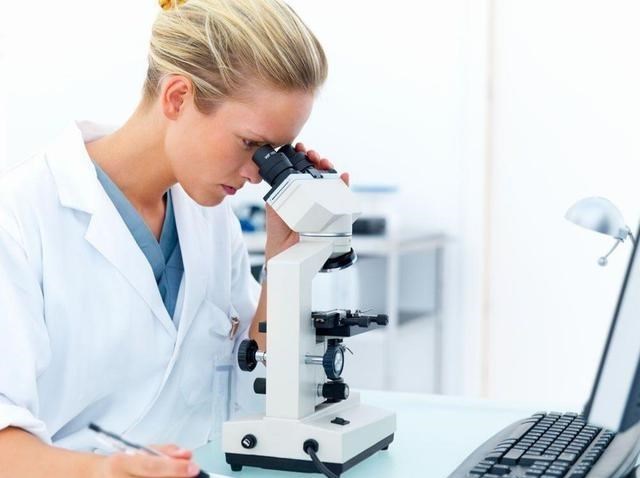 抹香鲸 鲸排泄物龙涎香，为什么拉出来的香且比黄金贵，人工取出来的臭？