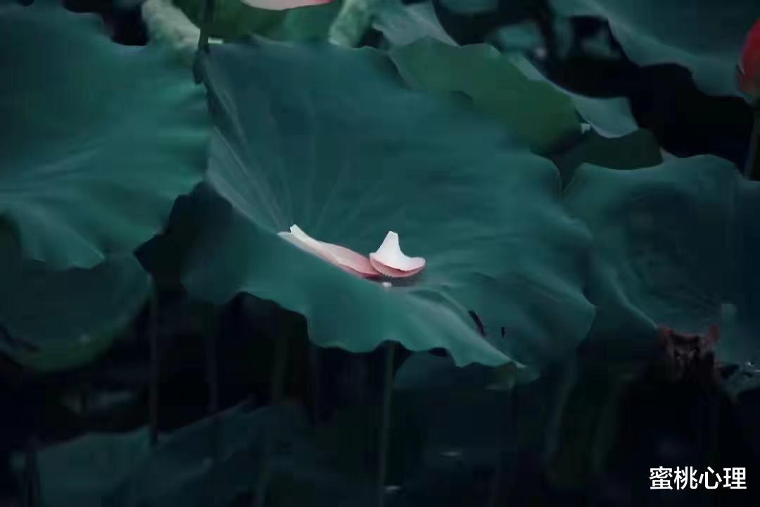 蜜桃心理|心理学：不到万不得已，千万不要在晚上做出任何决定
