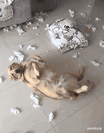 搞笑神回复|神回复:“对象教资面试没有过,我该怎么安慰她比较好?”哈哈!