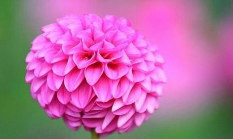 晓东梦伴|这三句话，无论跟谁相处，都不要轻易说出来