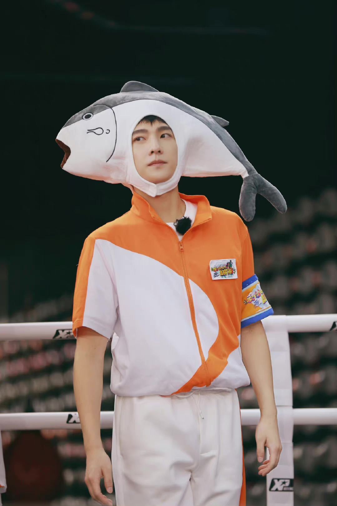 杨洋|没等来《且试天下》，等来杨洋新综艺，贾玲杨迪为了他费尽口舌