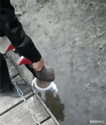 火炮|“女朋友踩我键盘不让玩游戏,现在怎么选?”选火炮