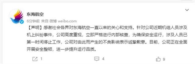 舜网 后怕!机长与乘务长在机舱内互殴?东海航空回应:已停飞