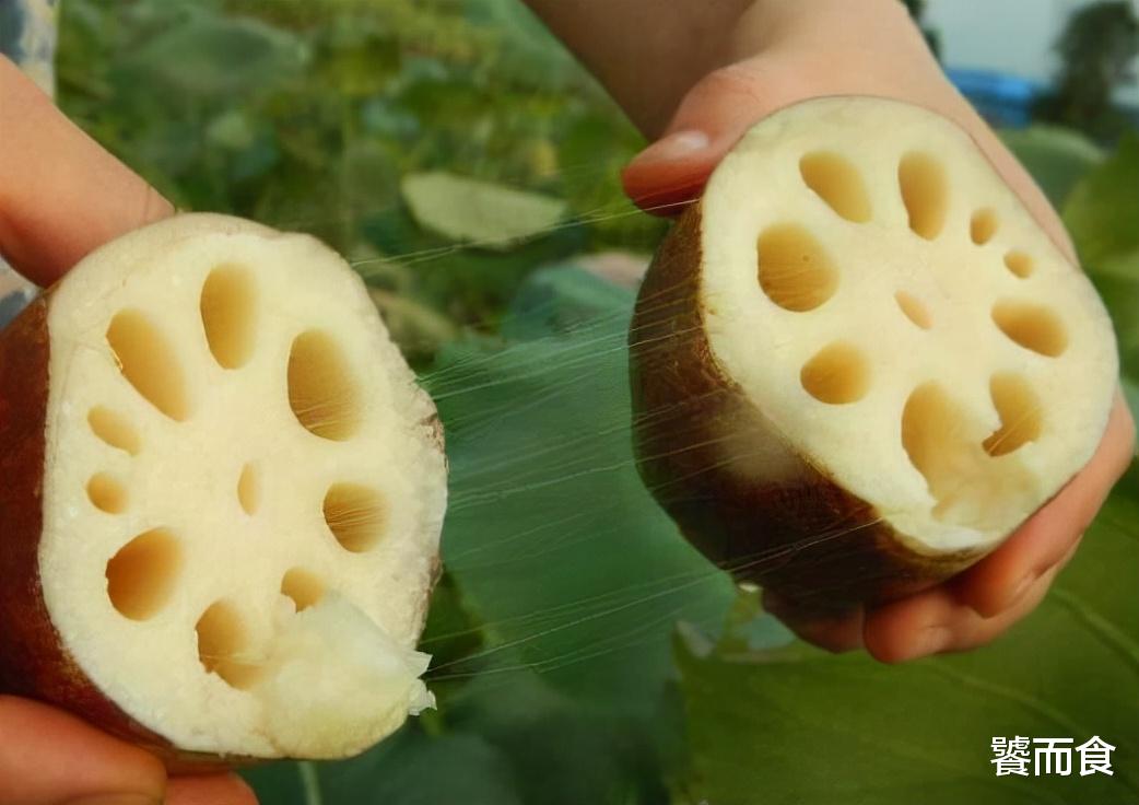 莲藕别瞎买,7孔和9孔的区别很大,买错了难吃还浪费钱