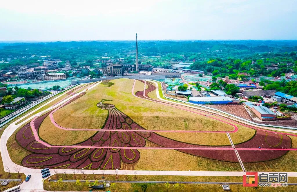 自贡 爱了！自贡这里换上“绿装”也太美了吧！