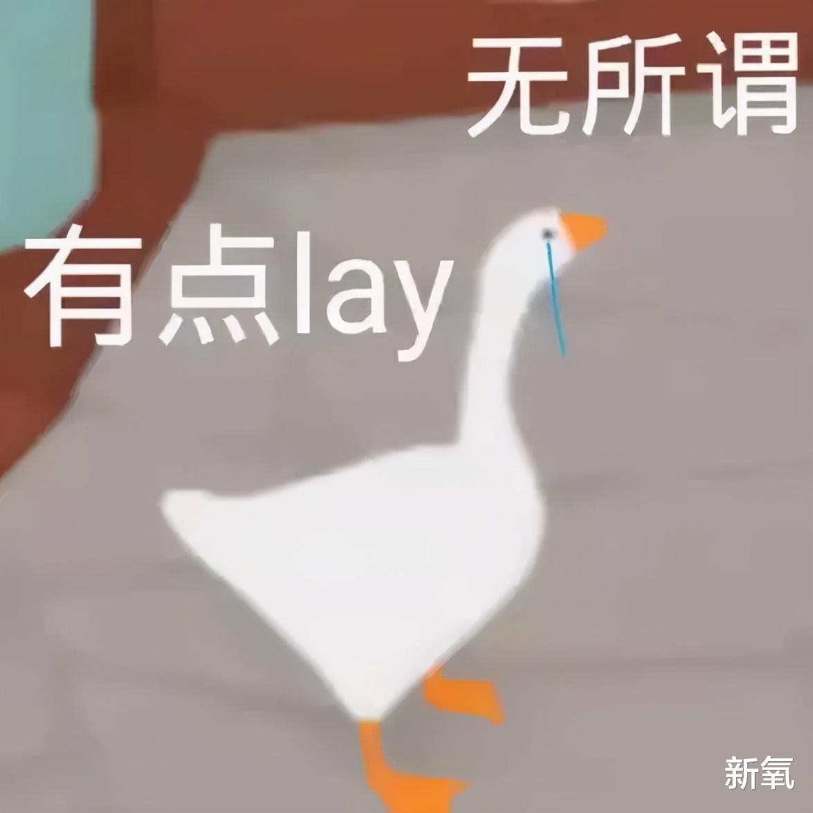 衬衫 打滚能减肥？恐怖片减肥？这些奇葩的减肥方法真的有用吗？