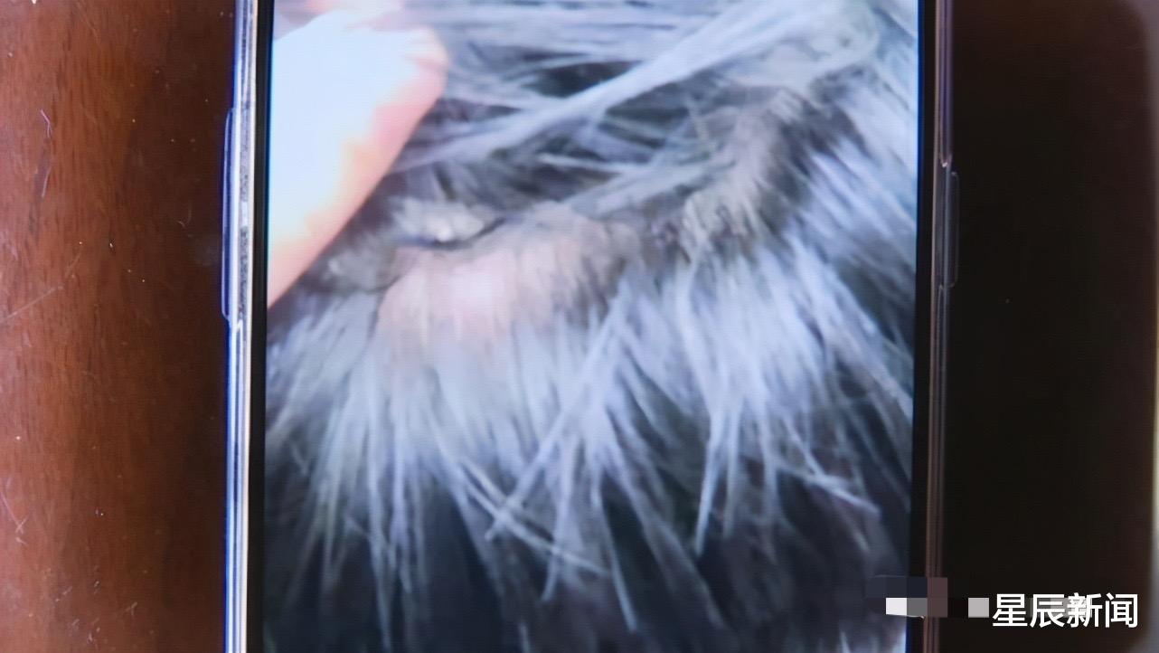 星辰新闻 泼热水、脚踩脸、掐脖子，安徽一老师疑醉酒后虐待学生，有关部门已介入