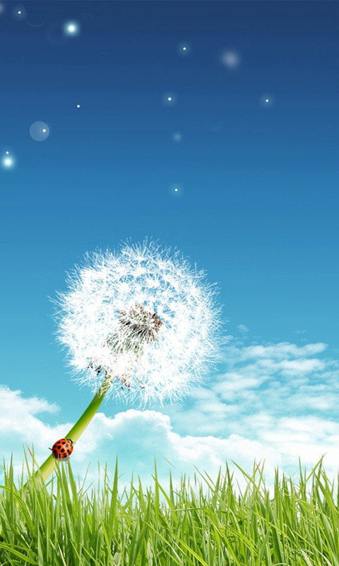 欧阳臣说情感|如何不让自己生气，怎么控制自己的心情？