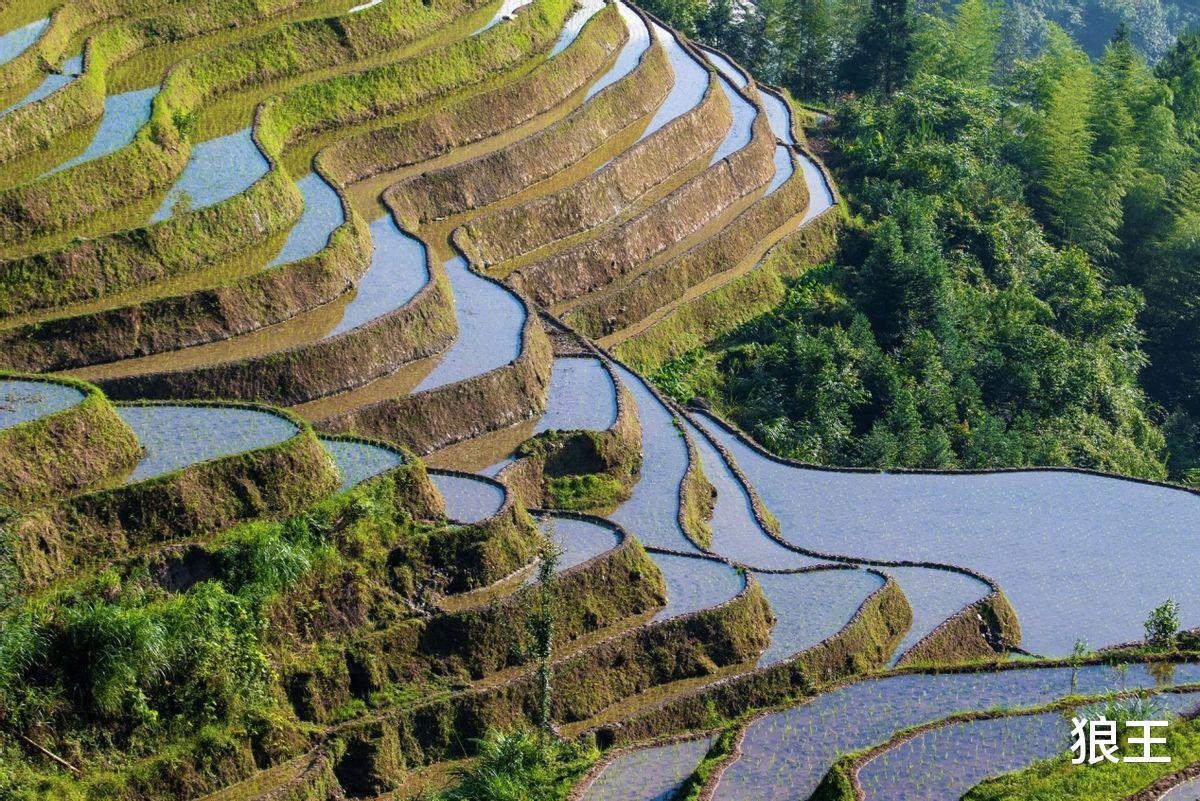 业主瞎指挥,装修工人不堪重负辞职不干!
