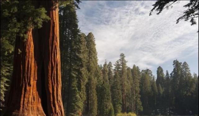 百慕大三角 10个科普冷知识:或许从未有人知晓,但却真实存在的有趣事实!