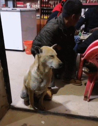 动物庄园|“我是一个送水的，碰到这样的客户该怎么办？”