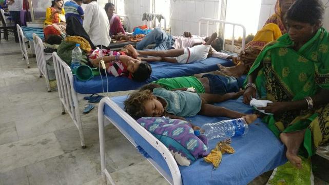大批兒童突然高燒，多人死亡！印度又出現致命疾病，印度人慌瞭-圖3