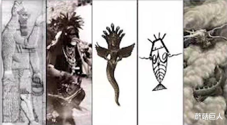 蘑菇巨人|星际麻烦制造者，天龙人的前世今生，在数千万年前布下的万古迷局