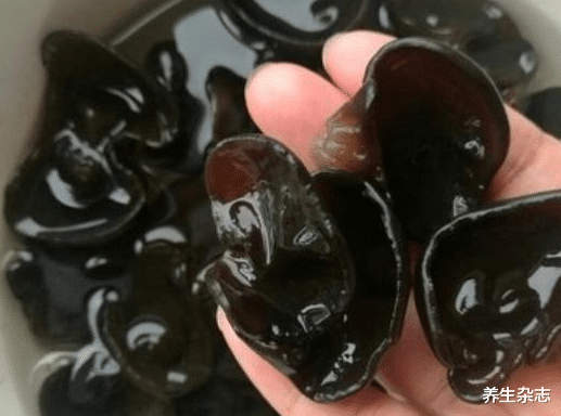 肝脏|解毒“冠军”被发现，肝胆科医生：没事敞开吃，吃一口等于10斤菊花