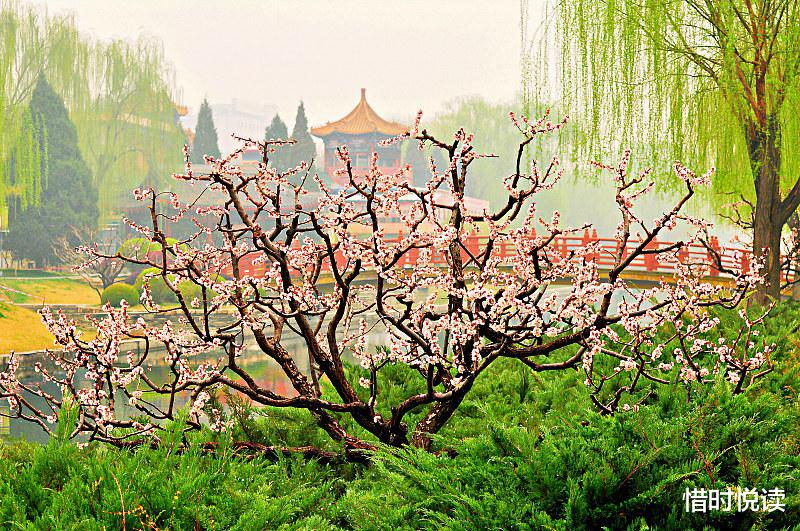 白居易|消除烦恼,这件事没人可以帮得了你,只有你自己