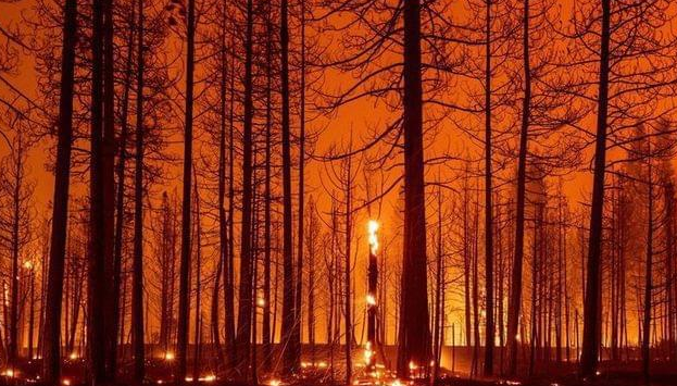 南极 2021地球到底怎么了？230家期刊联合警告：人类正面临不可逆灾难