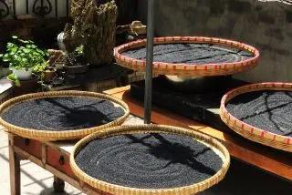 百艾堂|本周立秋，提前准备这些食物，补一补夏季过后气血虚的身体