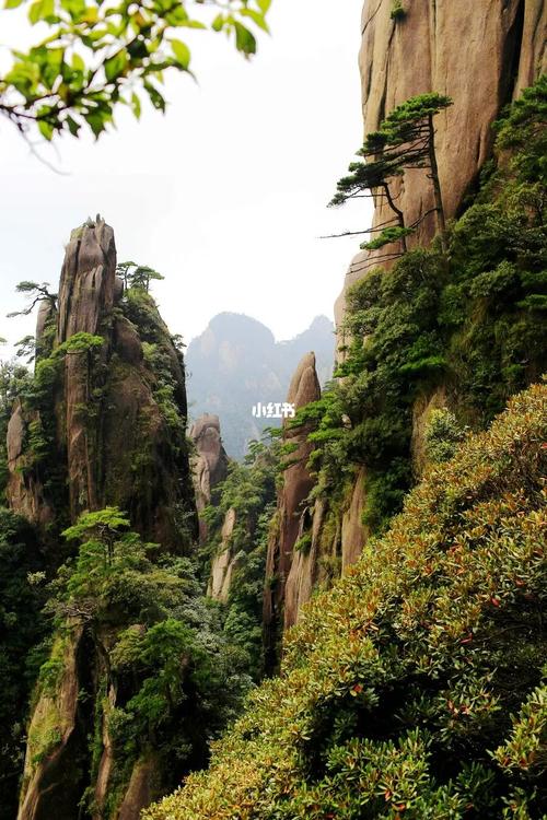 寒潮|三清山又名少华山、丫山，位于中国江西省上饶市玉山县与德兴市交界处。三峰宛如道教三位尊神列坐山巅而得名。