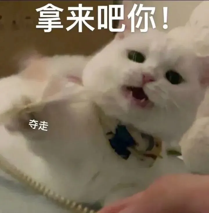 科颜氏高保湿面霜真假辨别