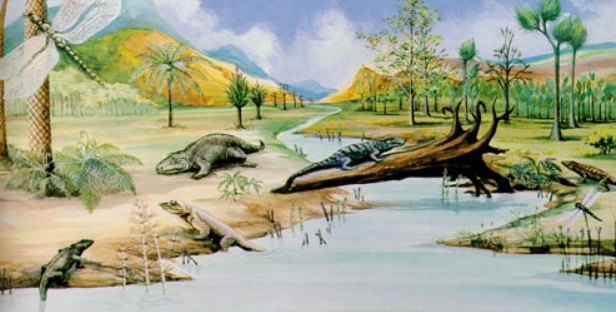 泥盆纪|关于石炭纪时期，地球的地质变化以及动植物进化