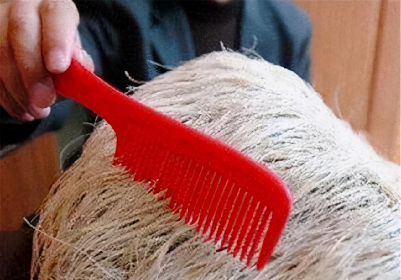 向东向西看 石头在长头发？老农捡到后想要将其占为己有，专家：这是远古生物