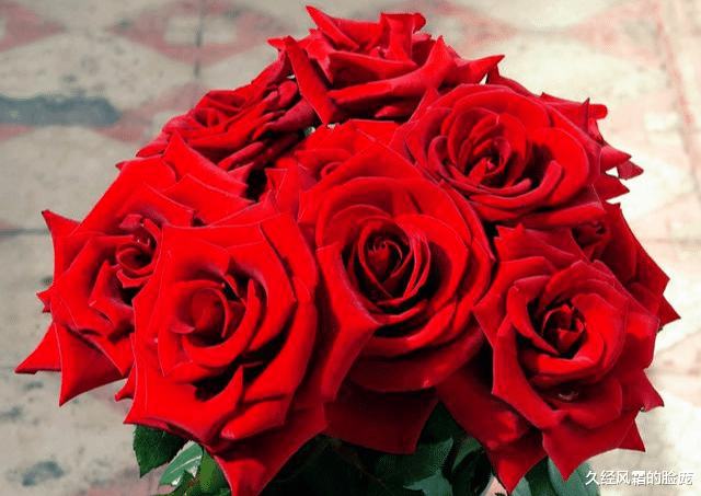 久经风霜的脸庞|爱若入心,一生难忘