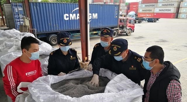 家有二宝育儿|16株活体!杭州海关截获仙人掌和粉蚧 如何应对海外入侵物种?