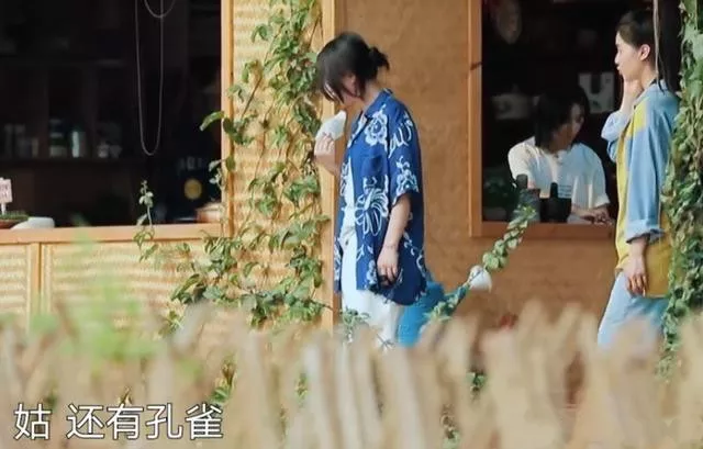 张婧仪|最会捧小花的，永远是大花