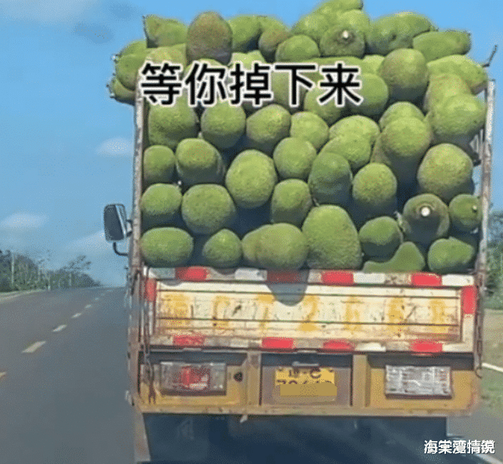 海棠湾情说|“老婆公司团建，发了自拍看到窗户后面好像有异样？”我又被绿了，哈哈哈哈