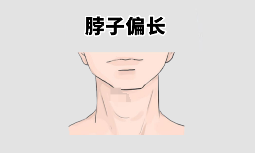 中国易经风水|俗语说：额头高，早年少奋斗；下巴圆，儿女中状元！