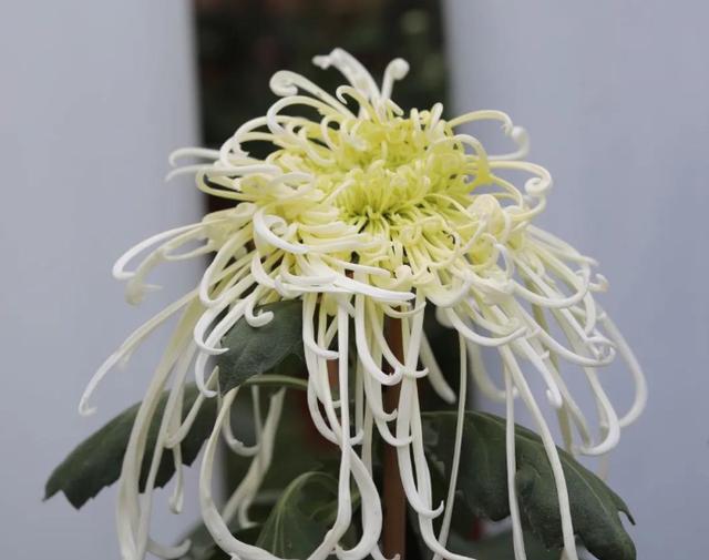 鄂尔多斯|明起正式实施！事关武汉人用水︱早安武汉