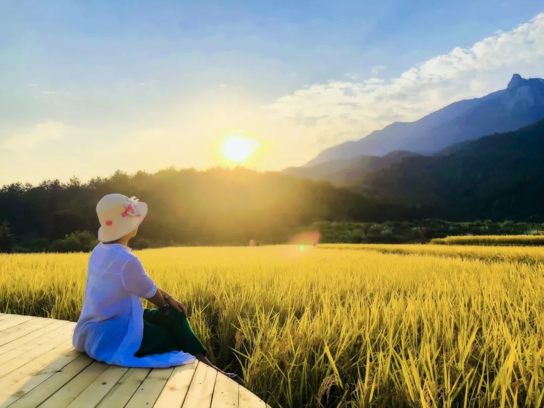 柚子青梅酒|村上春树最经典的5句话,当我们读懂了,眼眶也红了