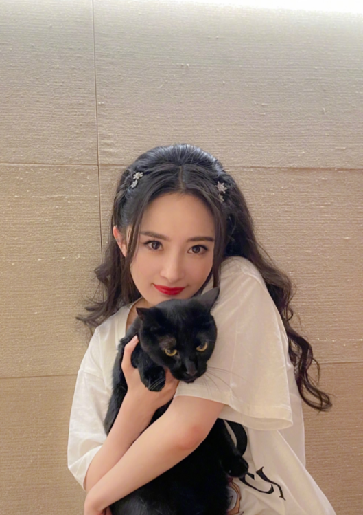 王一博|五大顶流明星数据分析图曝光，张艺兴王一博数据不乐观，这位实红