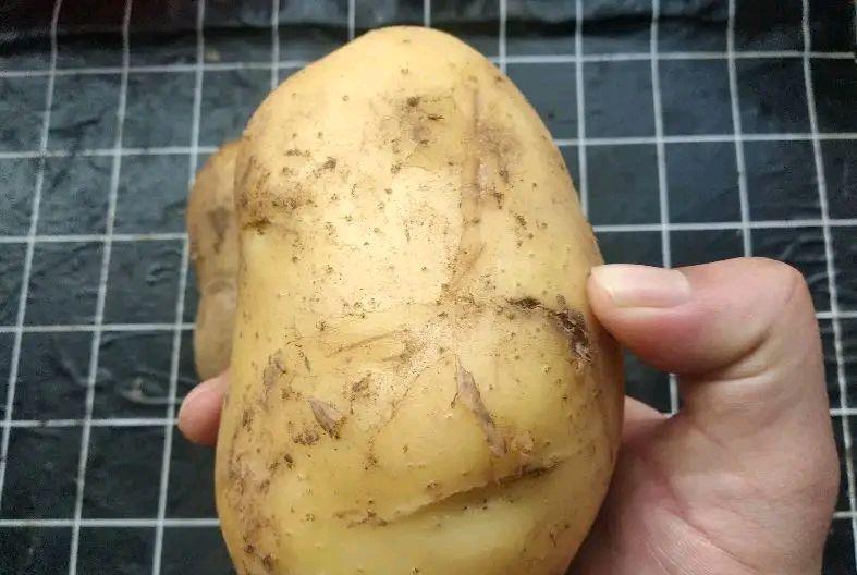 黄瓜|五月瘦身冲刺季，市场上这8种果蔬要多吃，给自己的减肥来助力